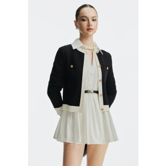 Monette Office Mini Dress White